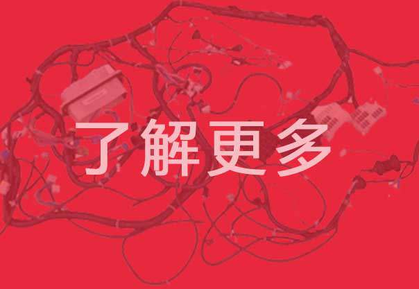 岳阳Abpay线束MES系统